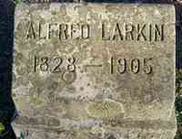 Alfred LARKIN - Grave