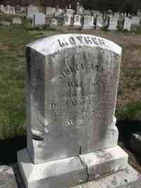 Julia Ann TRIPP - Grave - Maple Grove Cemetery, Westport, Massachusetts