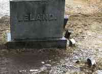 Minerva Hepzibah LELAND - Grave