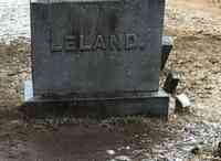 Ann Louisa LELAND - Grave