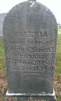 Valeria LEONARD - Grave