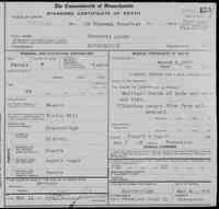 Marie Parmelia LIPPE - Death Record Massachusetts, Deaths, 1841-1915