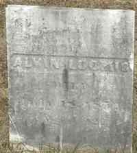 Alvin LOOMIS - Grave