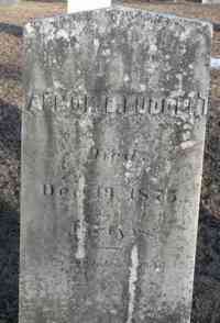 Almon Barnes LUDDEN - Grave