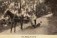 Mason, New Hampshire, USA - Mail Delivery, R.F.D., 1914