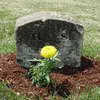 Johanna Rosalie MÄNNIG (MENNIG) - Pilgrims Rest section of Pittsfield Cemetery Gail put the stone back where it belonged. Then, we planted a flower... (6/29/2010) NOTE: Cemetery has