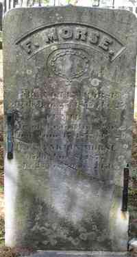 Ellis Franklin MORSE - Grave