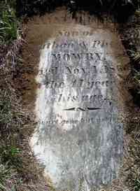 William N. MOWRY - Grave