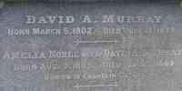 David Allen MURRAY - Grave