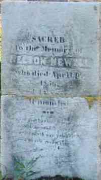 Nelson NEWELL - Grave