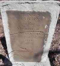 Asa NEWTON - Grave
