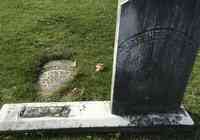 William NEWTON - Grave