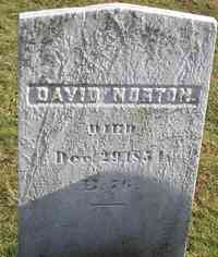 David NORTON - Grave
