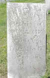 Simeon Newton NORTON - Grave