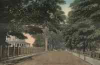 Norton, Massachusetts, USA - Main St, 1910