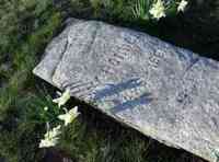 Walter PALMER - Grave