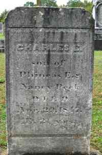 Charles E. PECK - Grave