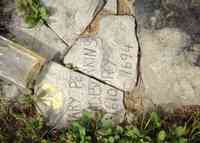 Mary PERKINS - Grave