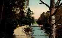 Peterborough, Ontario, Canada - Driveway in Jackson Park