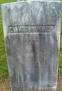 David PINNEY - Grave