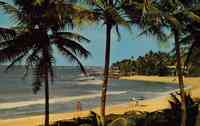 Puerto Rico - Crescent Beaches