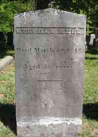 Stephen REED - Grave