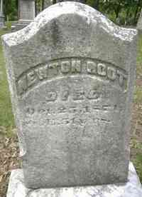 Newton ROOT - Grave