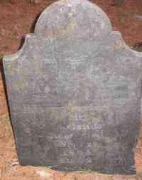 Orlando ROOT - Grave