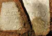 Orlando ROOT - Grave