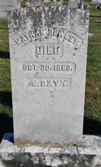 Nathan ROWLEY - Grave