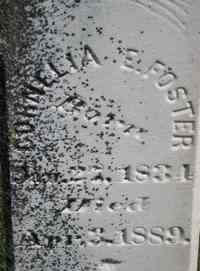 Cornelia E SALISBURY - Grave