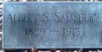 Albert S SALISBURY - Grave