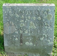 Alonson Lynn SALISBURY - Grave