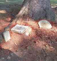 Abigail SALISBURY - Grave