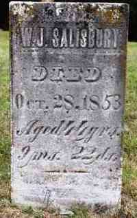 Wilkins Jenkins SALISBURY - Grave