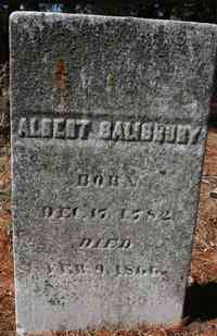 Albert SALISBURY - Grave