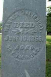 Warren SALISBURY - Grave