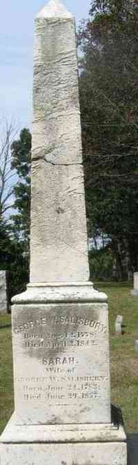 George Washington SALISBURY - Grave
