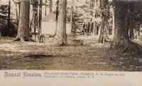 Sharon, New Hampshire, USA - Sharon, New Hampshire, USA - Annual Reunion, Willard Bass Park, Sharon, N.H., August 24, 1907