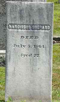 Narcissus SHEPARD - Grave