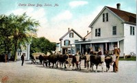 Solon, Maine, USA - Solon, Maine, USA - Cattle Show Day, Solon, Me., 1909