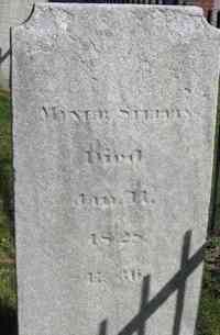Miner STEBBINS - Grave