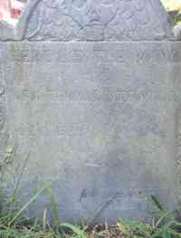 Thomas STEDMAN - Grave