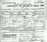 Josephine Lydia STEPHENSON - Birth