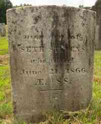 Seth STEVENS - Grave
