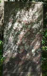 Elisha STRONG - Grave