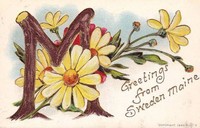 Sweden, Maine, USA - Sweden, Maine, USA - Greetings from Sweden, Maine, 1907