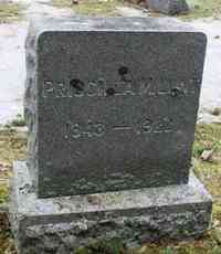 Priscilla M SWETT - Grave Thanks to Doug Noble