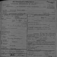 Henry W TIMMERMAN - Massachusetts, State Vital Records, 1841-1920DeathsDeaths, 1917, vol. 0100, Worcester