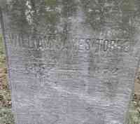 William James TORREY - Grave